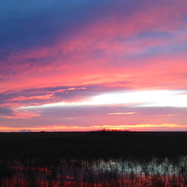 airboat tours